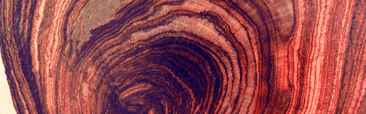 Rosewood texture